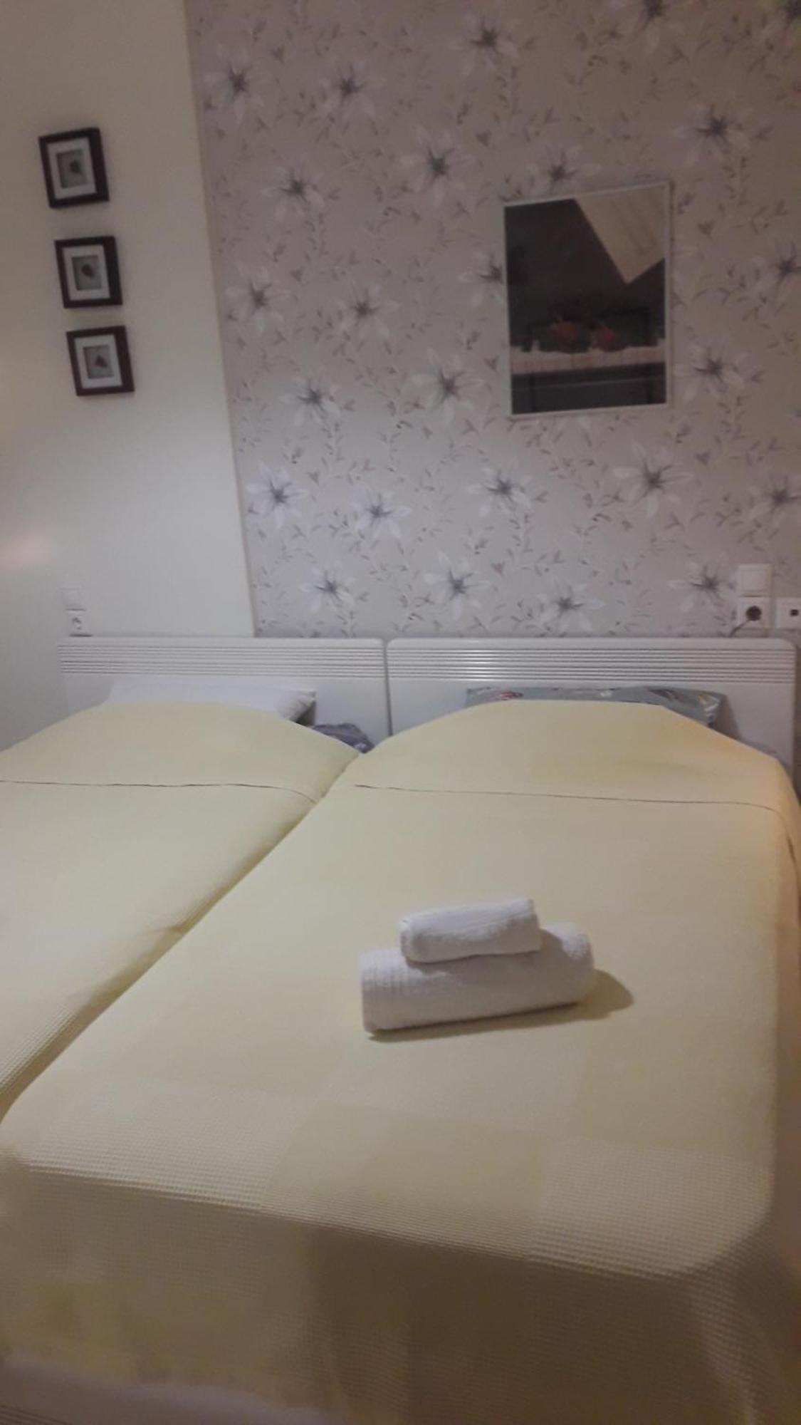Giorgio House Meteora Apartment Калампака Екстериор снимка