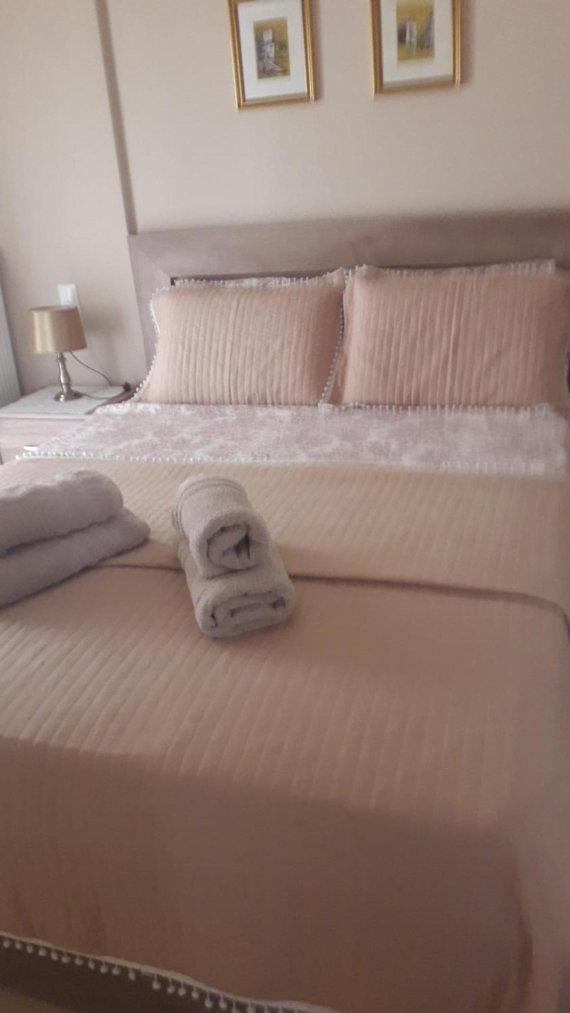 Giorgio House Meteora Apartment Калампака Екстериор снимка