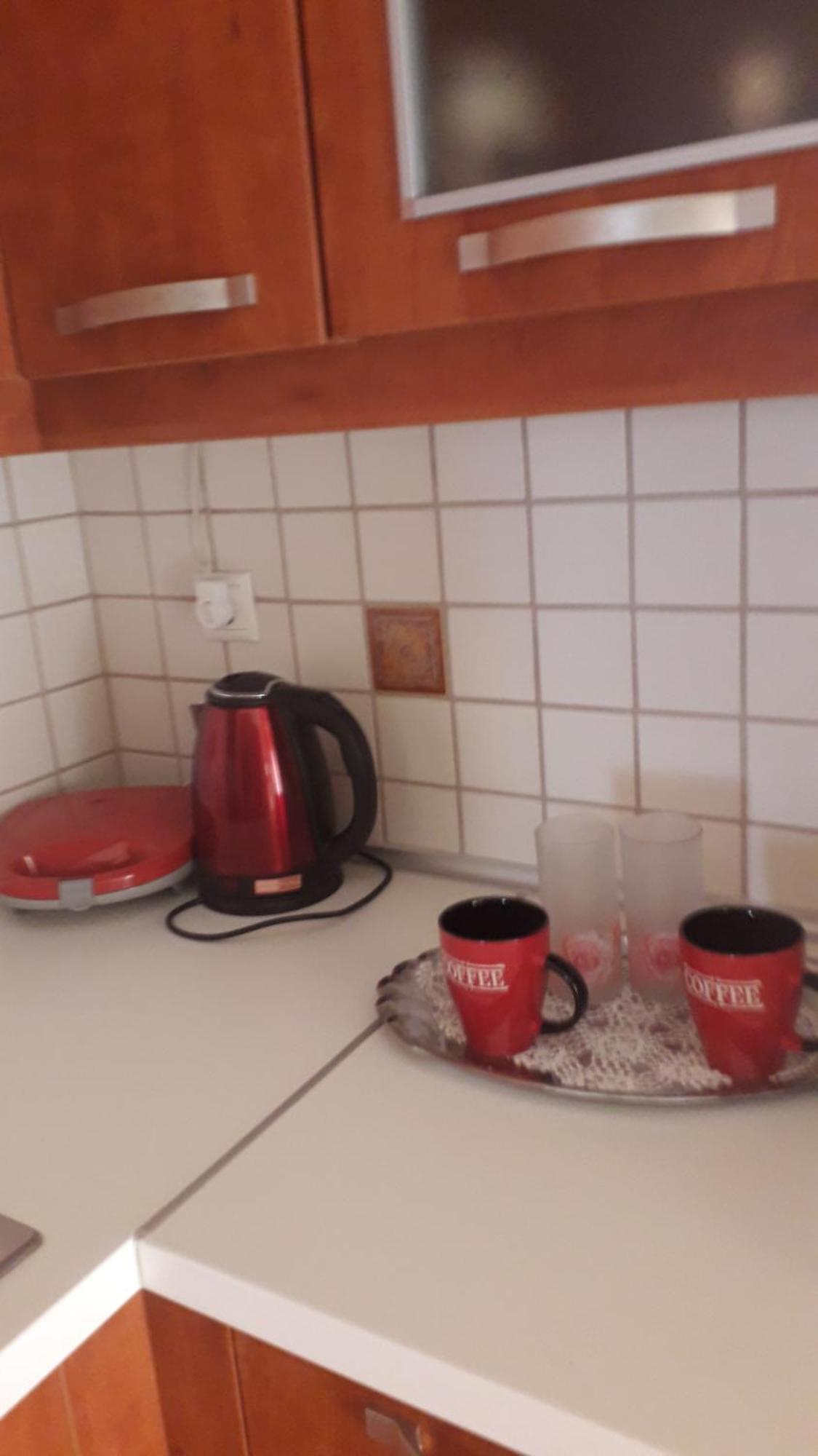 Giorgio House Meteora Apartment Калампака Екстериор снимка